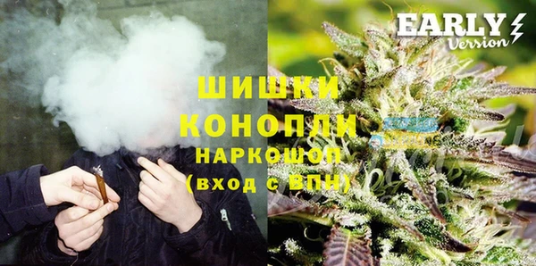 PSILOCYBIN Нея