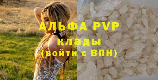 ECSTASY Алагир