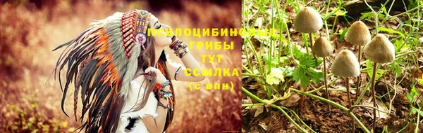 гидра Киреевск