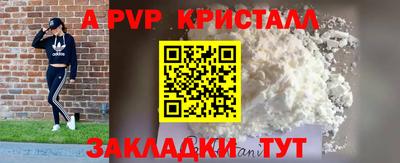 прущие грибы Гусиноозёрск