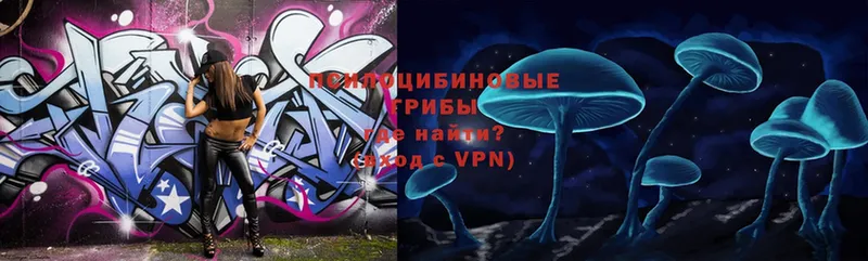 Галлюциногенные грибы MAGIC MUSHROOMS  hydra онион  Серпухов 